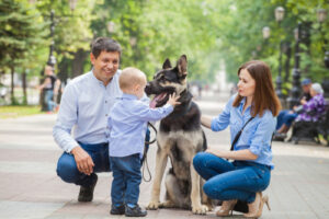 Read more about the article “Why German Shepherds Make the Perfect Family Dog”